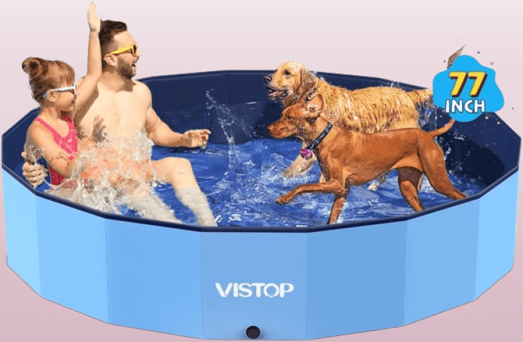 Piscina plegable para perros