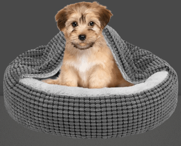 Cama pequena para perros con manta adjunta