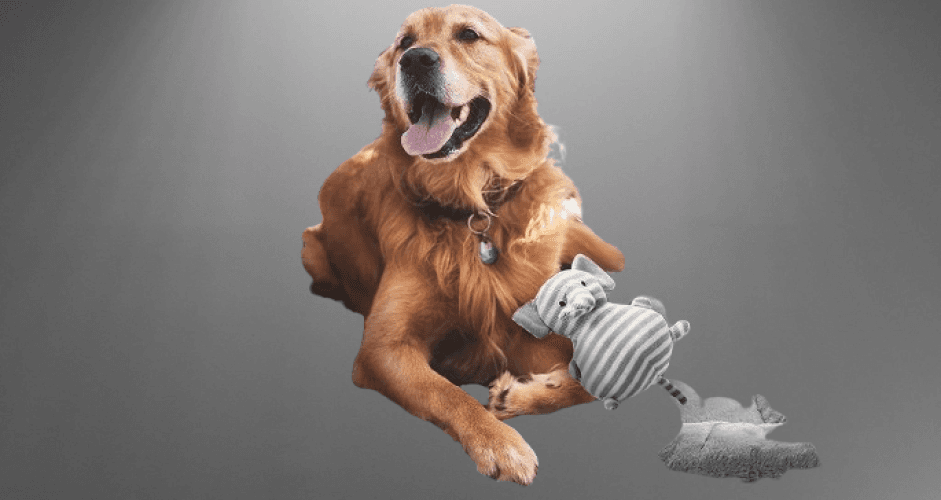Almohadilla de jaula para perros grandes