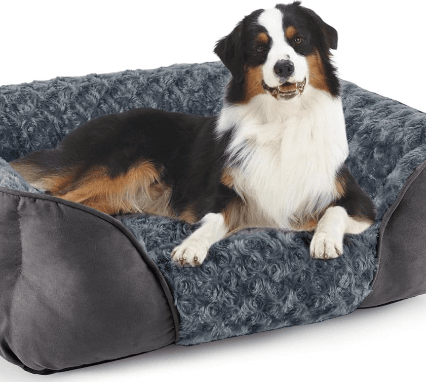 Cama mediana para perros grandes