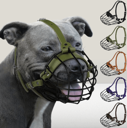 Bozal para perro Pitbull